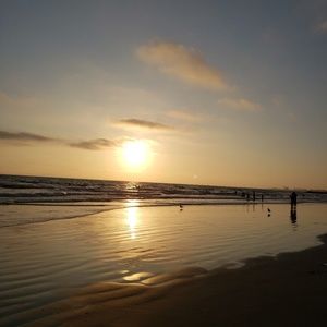 Meet your Posher, Araceli